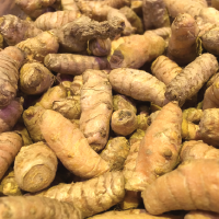 turmeric